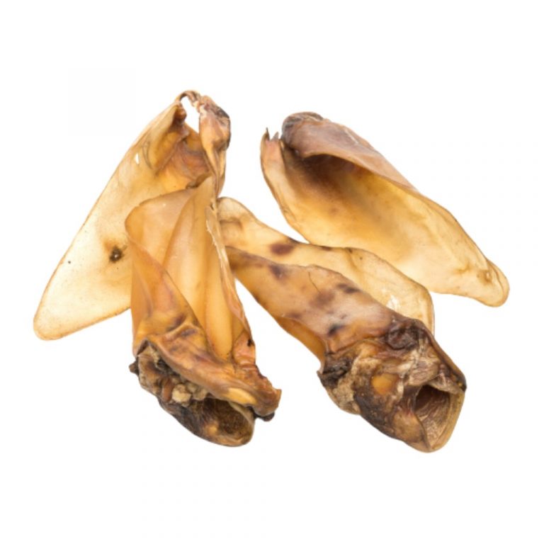 Oreja de ternera